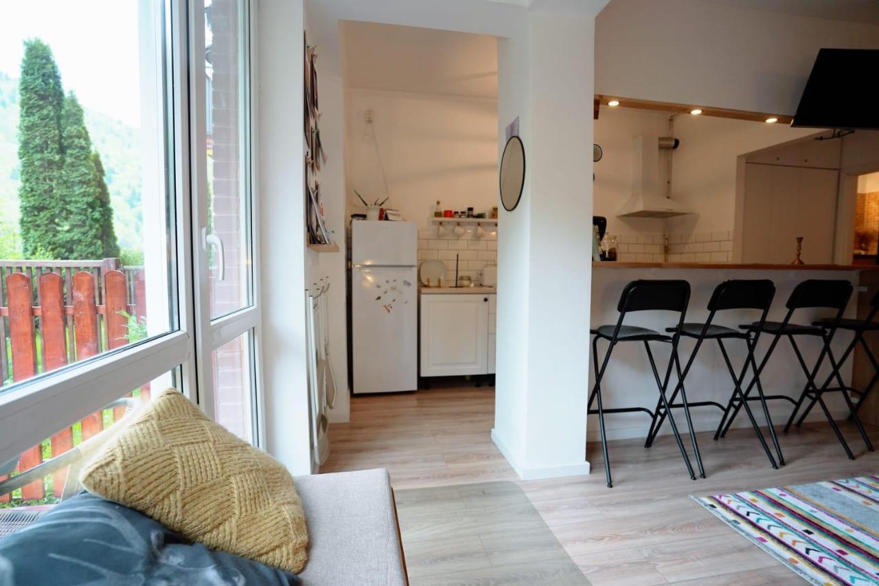 Bubbles Studio Sinaia With Terrace ภายนอก รูปภาพ