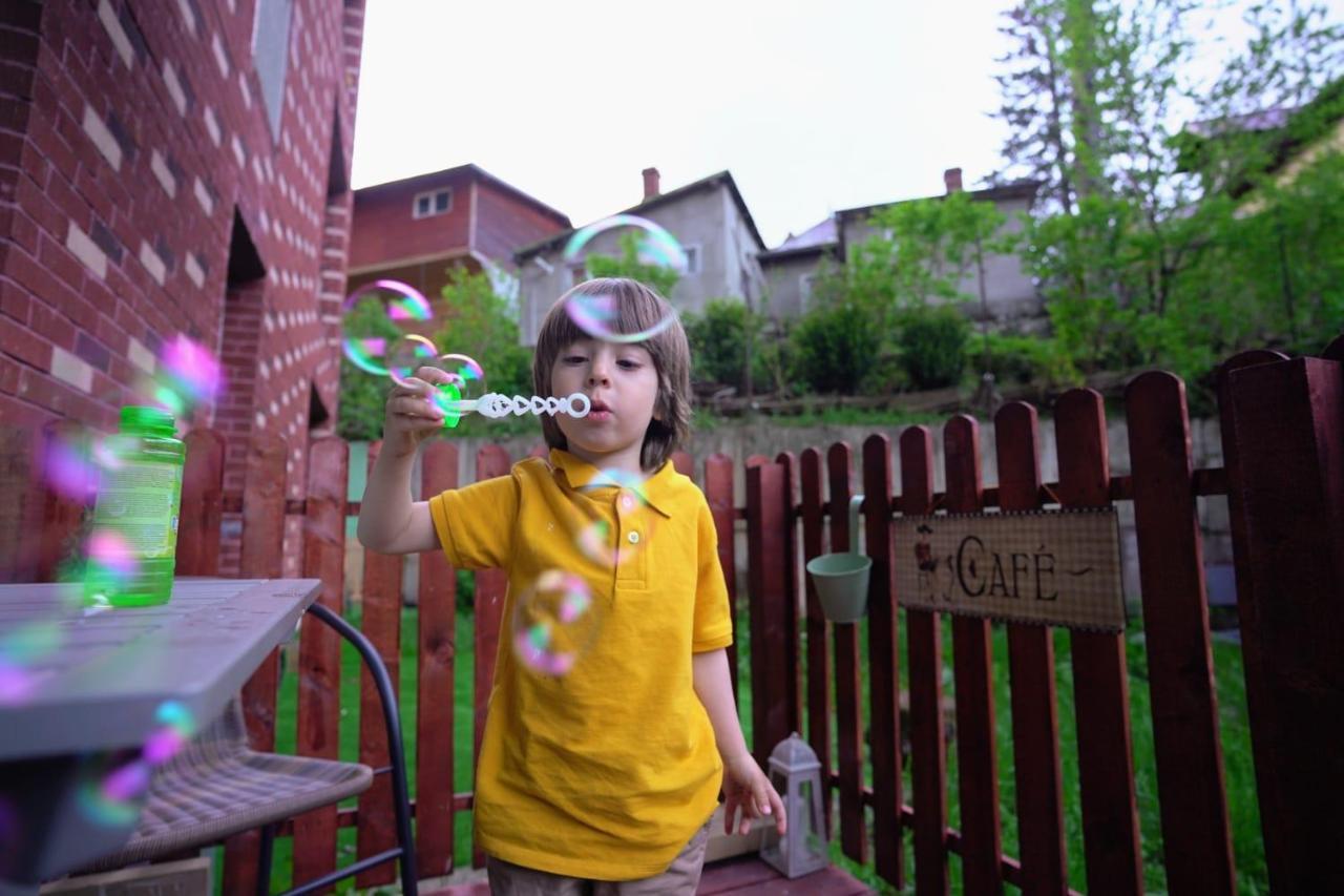 Bubbles Studio Sinaia With Terrace ภายนอก รูปภาพ