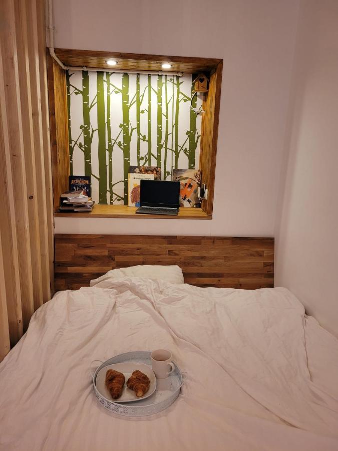 Bubbles Studio Sinaia With Terrace ภายนอก รูปภาพ