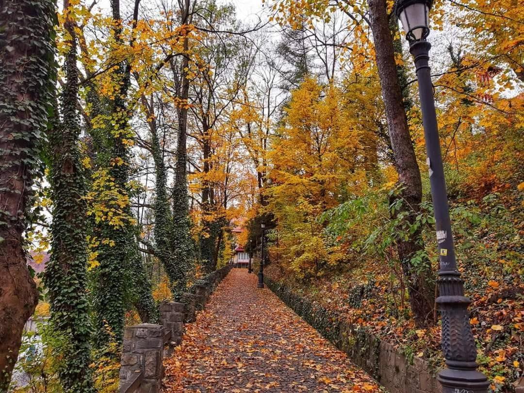 Bubbles Studio Sinaia With Terrace ภายนอก รูปภาพ